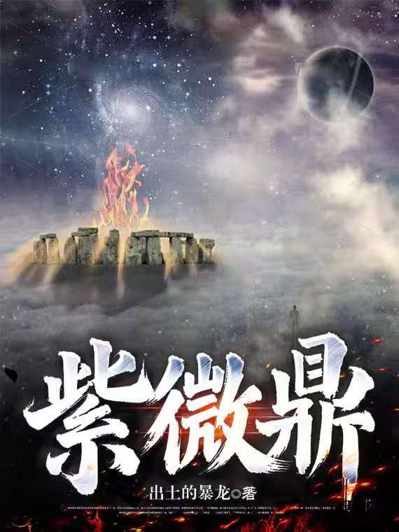 紫微鼎 紫微鼎